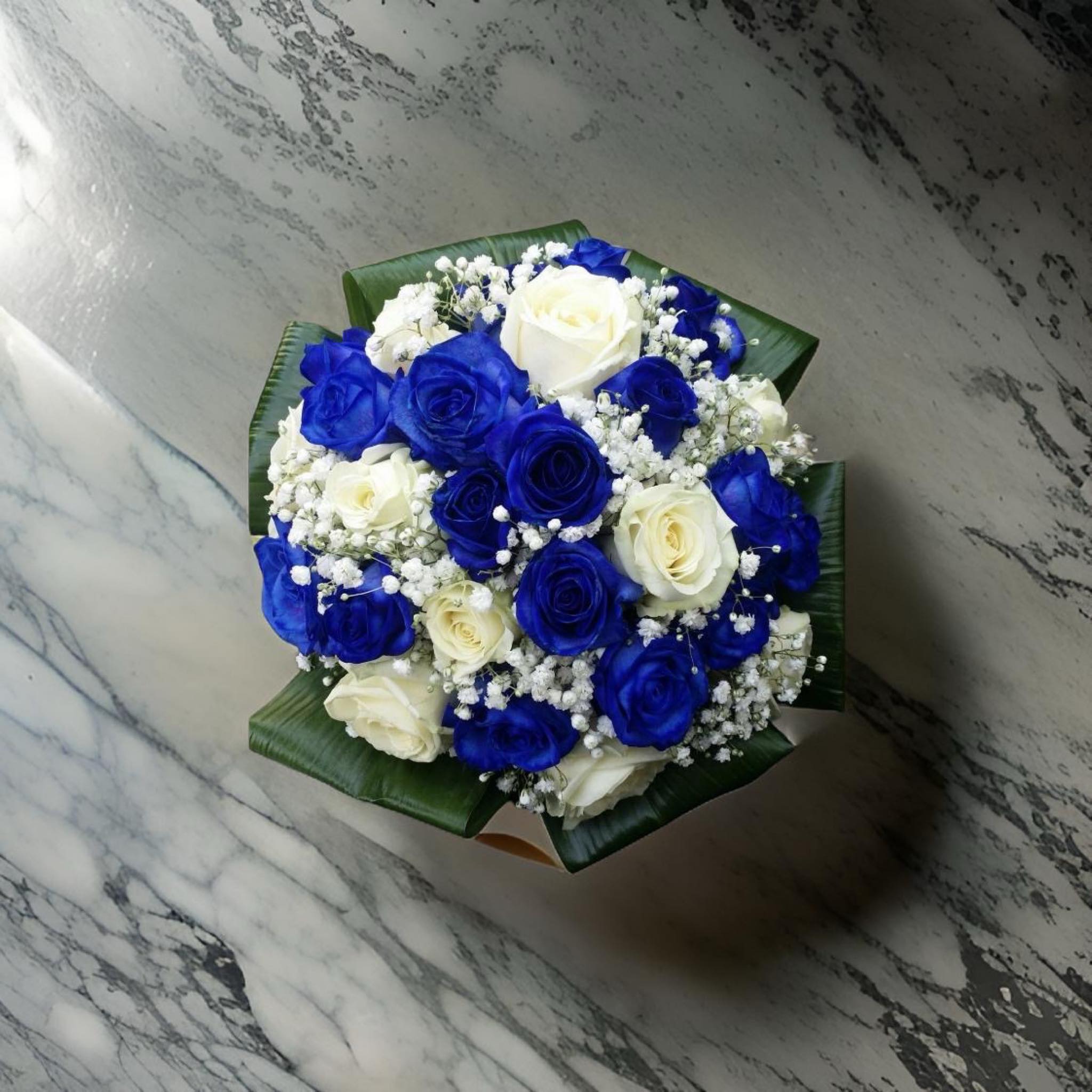 Bouquet 25 roses ( white &amp; blue )