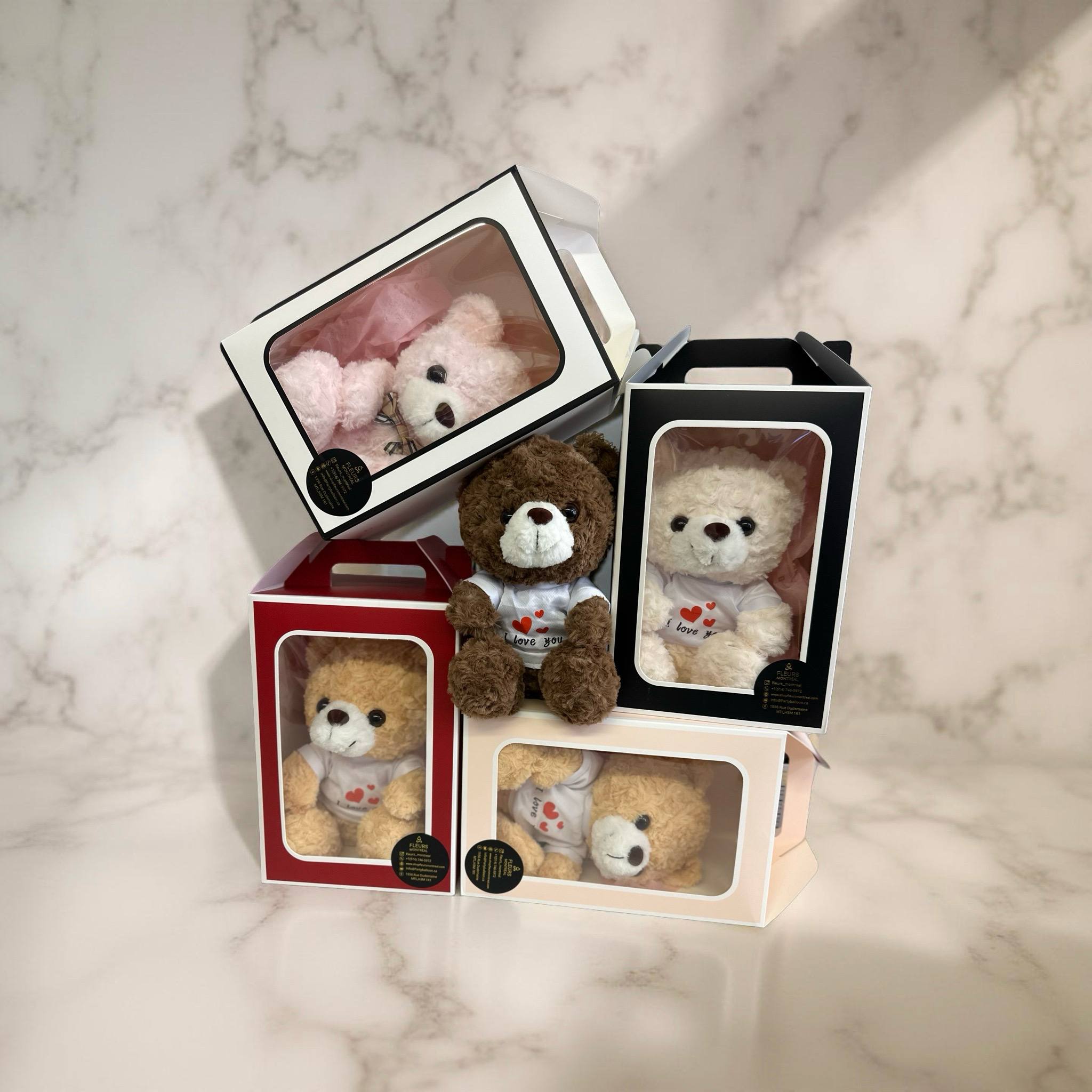 Plush (Teddy Bear)