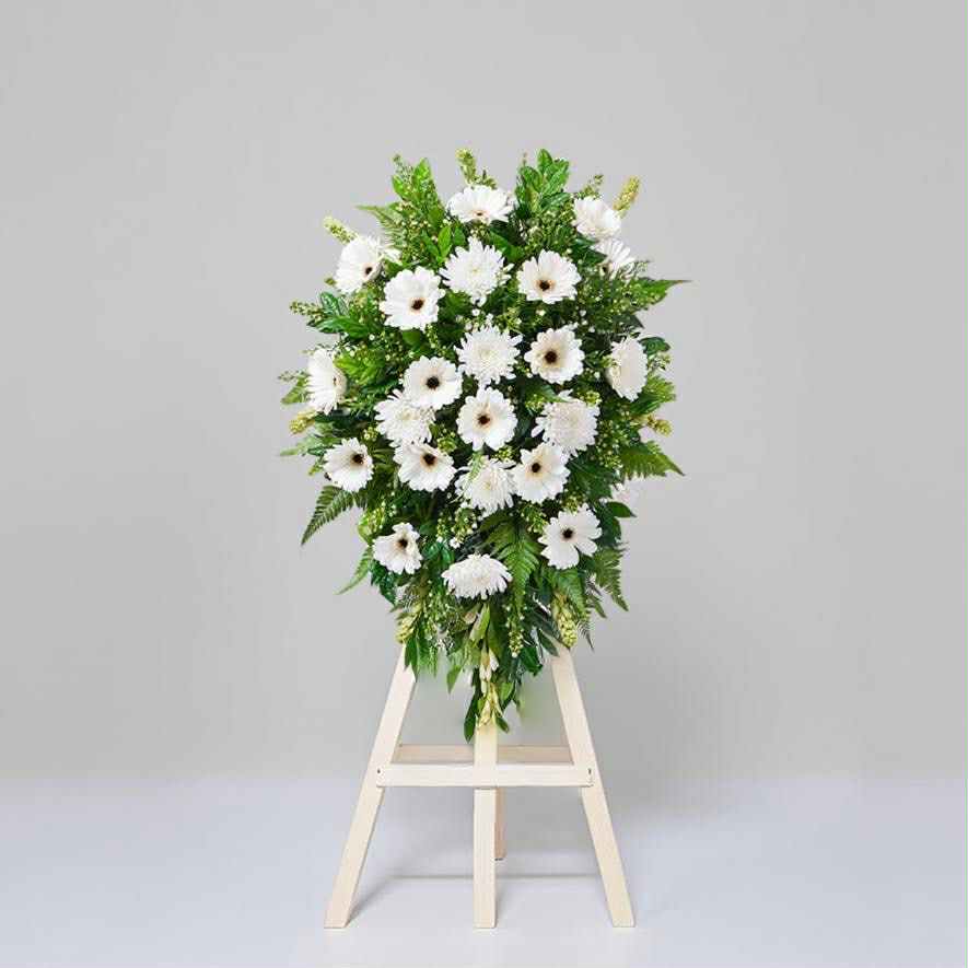 Code : F-F163